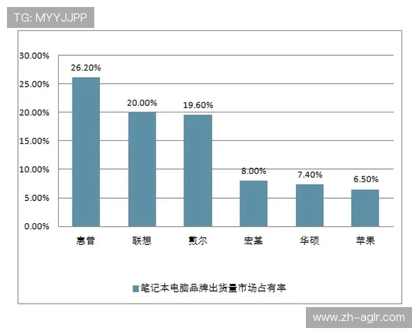 沈阳健身器材租赁市场发展现状与行业前景探讨