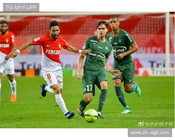 法甲比赛数据更新频率及数据分析应用