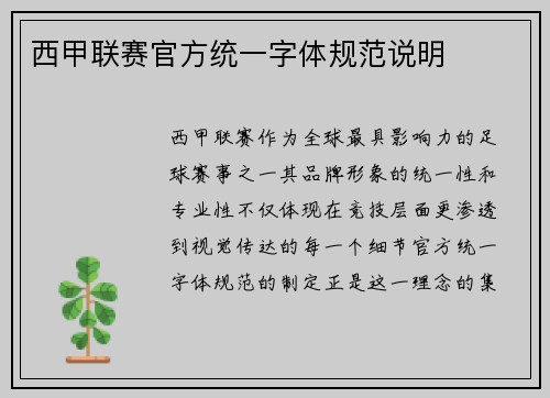 西甲联赛官方统一字体规范说明